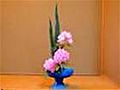 How To Perform Basic Hana-Isho For Ikebana