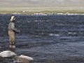 Fisherman with spinning catching fish in mountain river