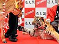 丑「モゥーしわけない」　寅「不況タイガーいにして」