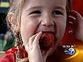 Strawberry festival begins this weekend