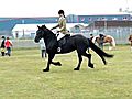 Isla and Inka at Muir of Ord Horse Show 4th June 2011 021