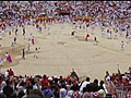 Bull running festival in Spain