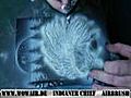 Airbrush by WOW Indianer Chief