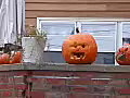 Royalty Free Stock Video SD Footage Halloween Pumpkins on a Wall in Marblehead,  Massachusetts