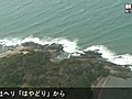 ザトウクジラ打ち上げられる　千葉・館山市