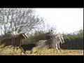 Concours de ferrade Manade Félix Le 23.11.08