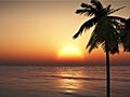 1070 Pacific Island Ocean Palm Sunset Stock Footage