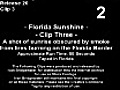 Stock Footage - Florida Sunshine - Clip 3 (2007)