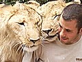 Lion cubs cuddle with GoEco volunteer