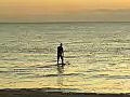 Royalty Free Stock Video HD Footage Surfer Paddles Out at Sunrise on the Beach in Fort Lauderdale,  Florida