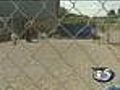 Doyle signs puppy mill bill into law