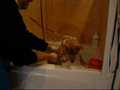 Ares&#039; First Bath