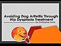 Treating Dog Hip Dysplasia With Surgery & Dog Arthritis Medication