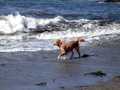 First day at the beach