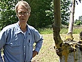 Cooking Up A Story - Lon Rombough: Grafting Fruit Trees