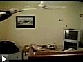 FUNNY CAT SPINNING ON CEILING FAN