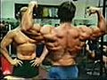 Coleman Vs Arnold