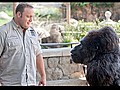 &#039;The Zookeeper&#039; Trailer