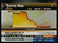 Spotlight - Fannie Mae