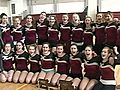 High 5: Algonquin High Gymnastics