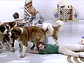 Famous Blue Peter moments as show leaves London