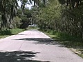 Stock Footage - Myakka Park - Chroma Key Backdrop (2007)