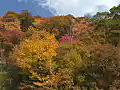 Royalty Free Stock Video HD Footage Scenic View of Fall Leaves and Mountains in North Carolina