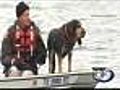 Deputy Dogs Solve Crime