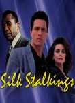 Silk Stalkings: Season 1: &quot;Going to Babylon&quot;