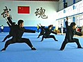 Awesome Kung Fu Display