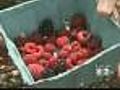 Temps Ideal For Produce Growers
