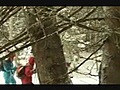 Balade en raquettes en forêt de Chartreuse - Isère