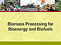 Bioenergy and Biofuels: Biomass Processing for Bioenergy and Biofuels