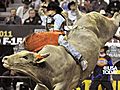 Bull rider Brendon Clark