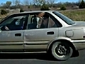 Horse rides in car on freeway