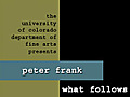 Peter Frank - Art Writer,  Critic, Analyst of Intermedia Art
