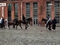 Abandoned horses in Ireland