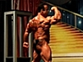 Largest Source of Free Bodybuilding Videos Online!