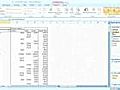 How to Use the Report Layout Options in Microsoft Excel 2007