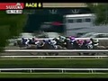 Funny Pirate Horse Wins Race