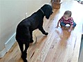 Baby Makes Dog Run Around