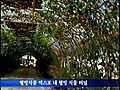 천안웰빙식품엑스포 100배 즐기기 - 웰빙 식물터널