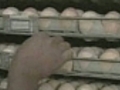 Restaurant illness linked to egg recall