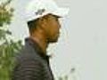 Expert: Tiger Should Emulate Contrite Letterman