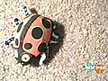 Fat Cat Kitty Hoots Crackler Original Ladybug