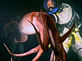The Giant Squid