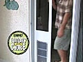 DoggieDoors - Petsafe Pet Doors For Your Dog or Cat