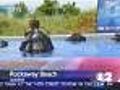 Wounded Water Project - Teaching Scuba Diving To Injured Veterans