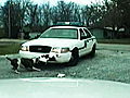 Weird True & Freaky: Dog Attacks Police Car