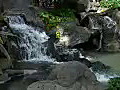 Royalty Free Stock Video HD Footage Lush Waterfall and Fountain on the Beach at Waikiki in Hawaii